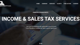 zaibatsu-consultants